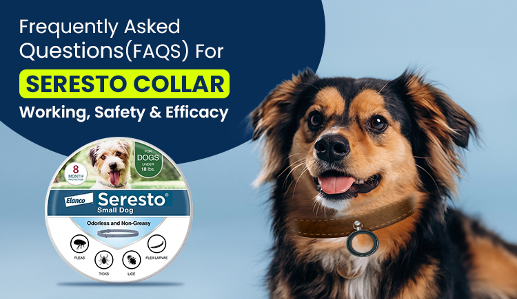 Seresto Collar for Dogs – Safety, Effectiveness & FAQs Guide