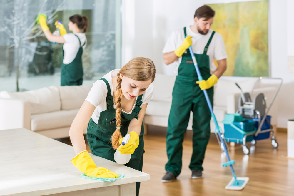 eco-friendly cleaning service